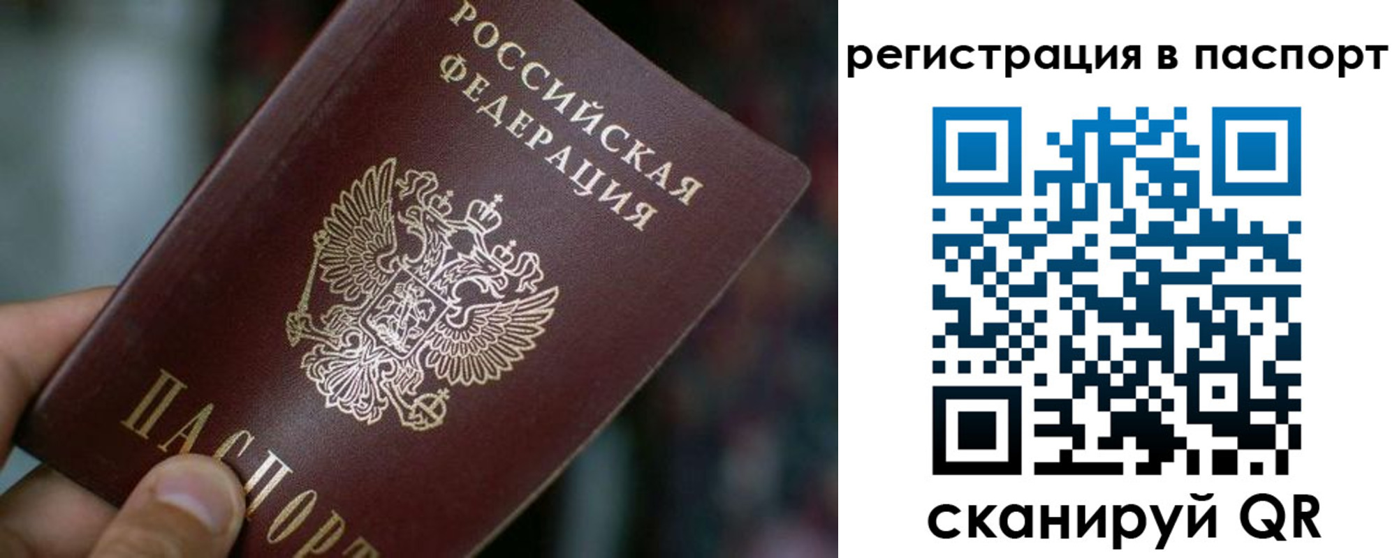 временная регистрация недорого в Котельниках